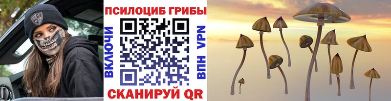 Псилоцибиновые грибы прущие грибы  Светлогорск 